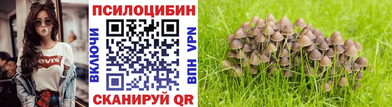 как найти наркотики  Лагань  Галлюциногенные грибы Cubensis 